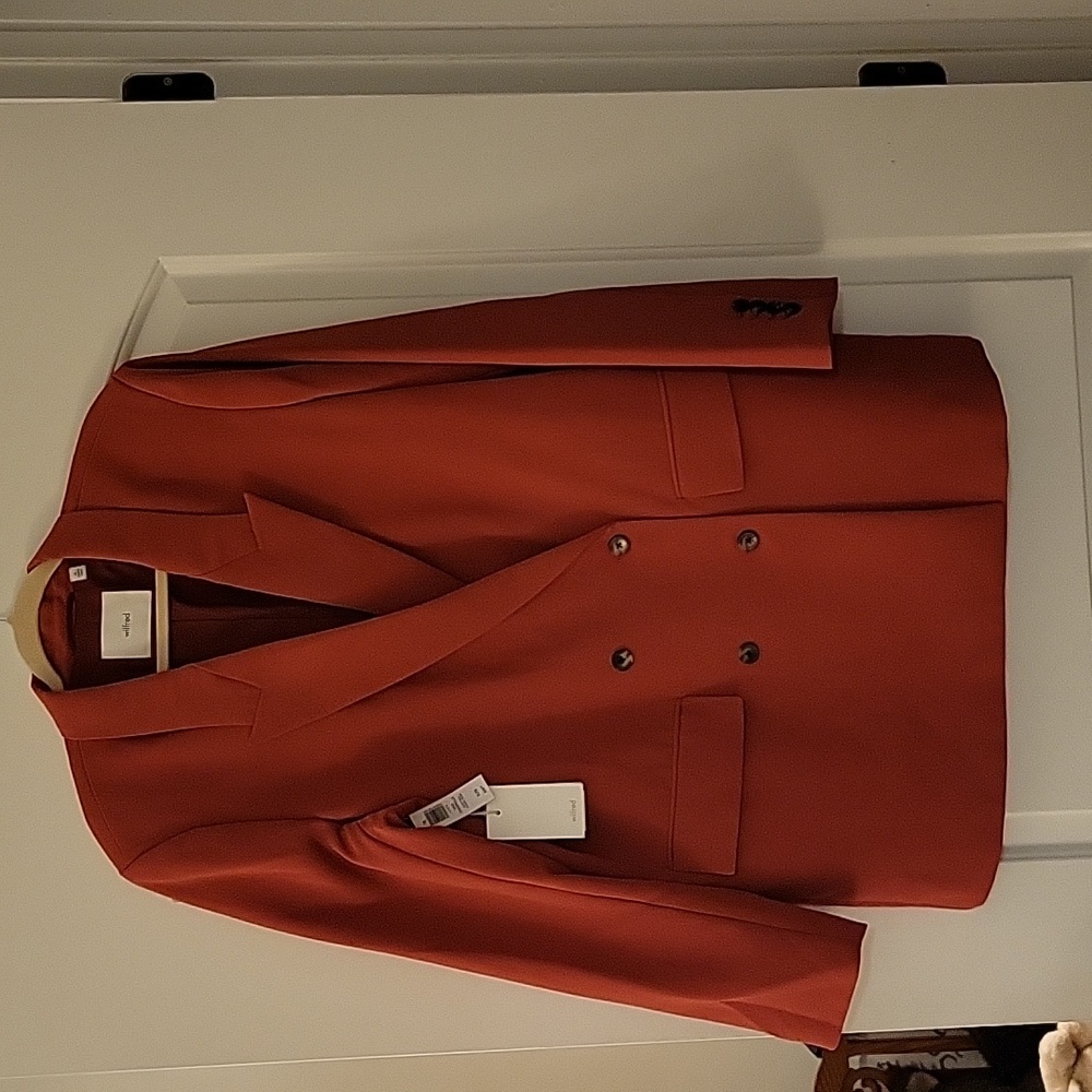 Aritzia Wilfred Blazer